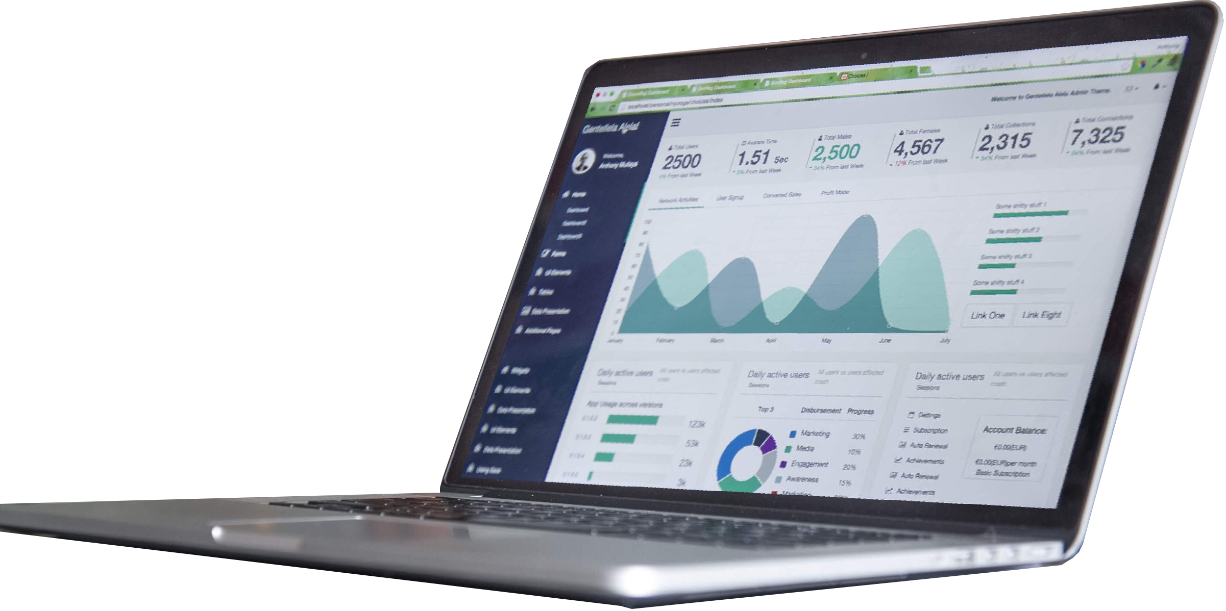 Marketing Analytics; Cloud; Cyber Defense; BI